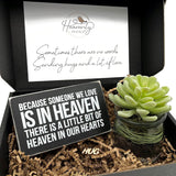 heavenly hugs hug in a box grief sympathy gift basket because someone we love is in heaven succulent plant