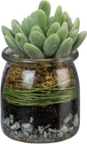 mother in heaven succulent heavenly hugs grief gift box send a hug condolence for funeral with optional memorial bracelet and coaster with stand