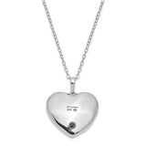 Pet Cremation Necklace - Pet Urn Jewelry - Pet Ashes Pendant Heart Handmade by Remember Me