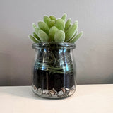 Loss of Father Succulent Grief Box | Hug in a Box