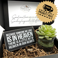 heavenly hugs hug in a box memorial gift boxes and baskets because someone we love is in heaven succulent plant free priority shipping