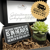 heavenly hugs hug in a box memorial gift boxes and baskets because someone we love is in heaven succulent plant free priority shipping 