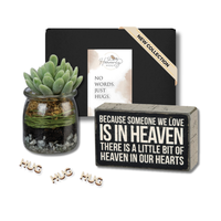 Succulent Sympathy Grief Box - Hug in a Box Gift