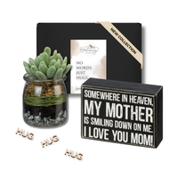 Loss of Mother Succulent Grief Box - Hug in a Box