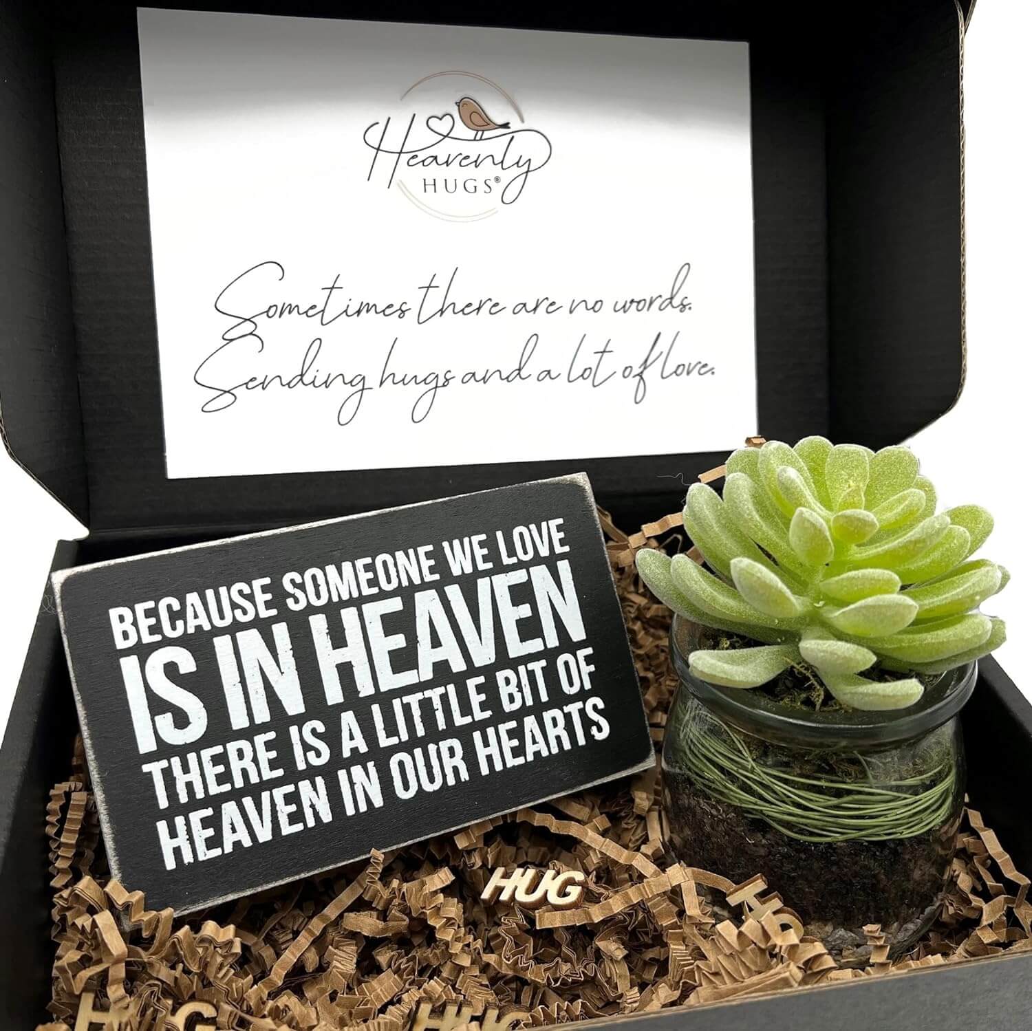 succulent sympathy gift Succulent Sympathy Grief Box