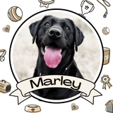 Custom dog photo remembrance stake with simple name banner and ceramic tile
