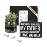 Loss of Father Succulent Grief Box | Hug in a Box